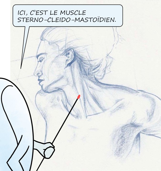 Leon d'anatomie